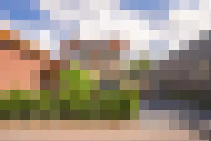 Bruisterbosch 15 Sint Geertruid thumbnail 19
