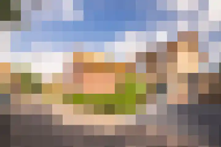 Bruisterbosch 15 Sint Geertruid thumbnail 20
