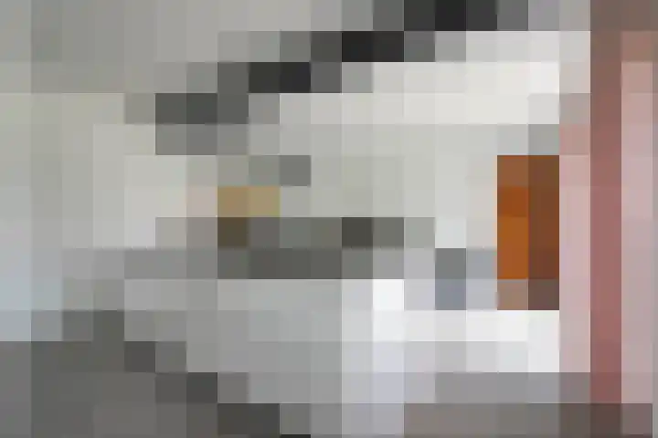 Bruisterbosch 15 Sint Geertruid thumbnail 4