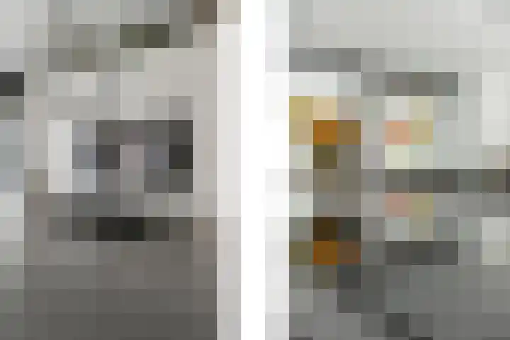 Bruisterbosch 15 Sint Geertruid thumbnail 5