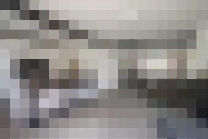 Bruisterbosch 15 Sint Geertruid thumbnail 6