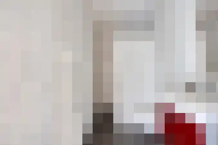 Bruisterbosch 37 Sint Geertruid thumbnail 24