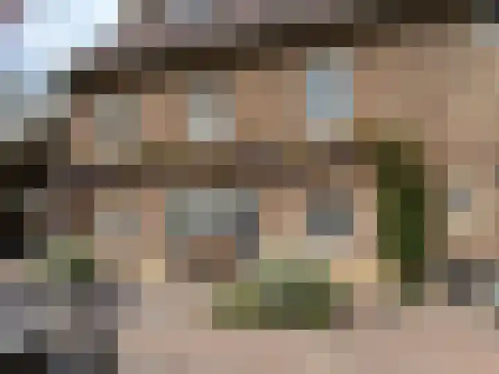Bruisterbosch 37 Sint Geertruid thumbnail 33