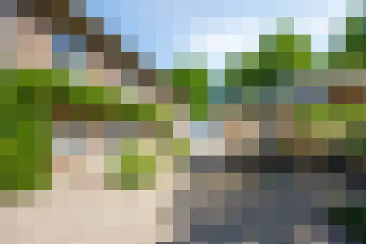 Bruisterbosch 37 Sint Geertruid thumbnail 34