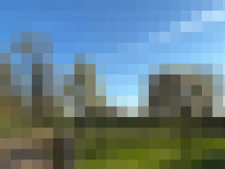Bruisterbosch 37 Sint Geertruid thumbnail 36