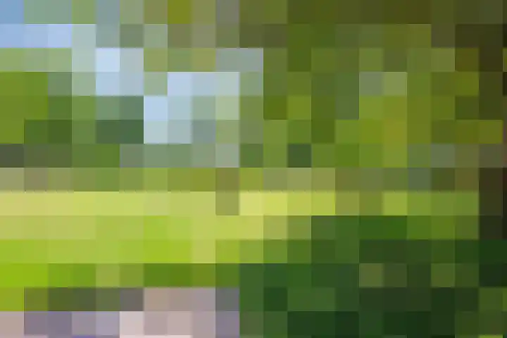 Bruisterbosch 37 Sint Geertruid thumbnail 38