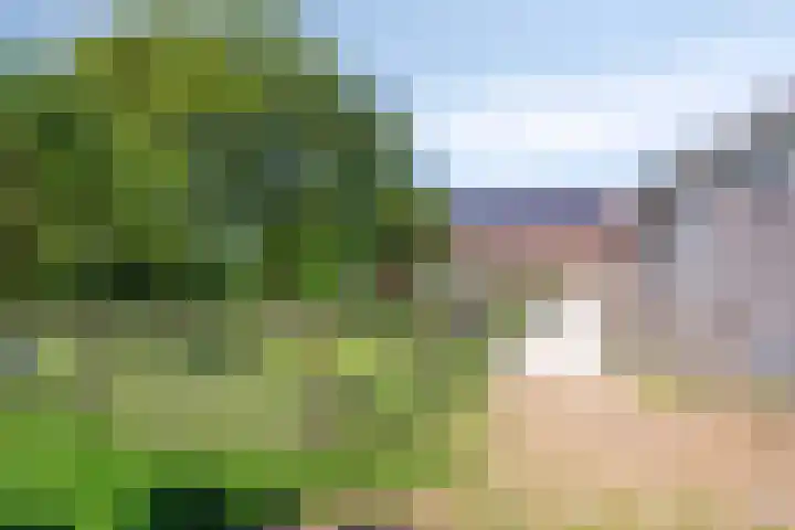 Bruisterbosch 37 Sint Geertruid thumbnail 45