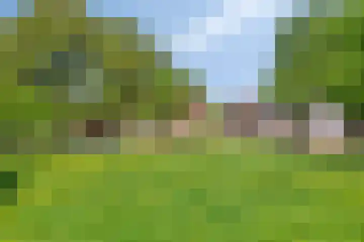 Bruisterbosch 37 Sint Geertruid thumbnail 47