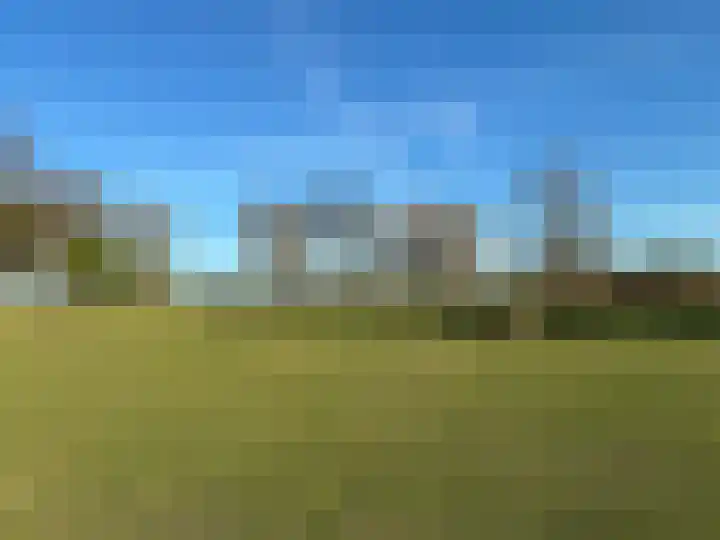 Bruisterbosch 37 Sint Geertruid thumbnail 48
