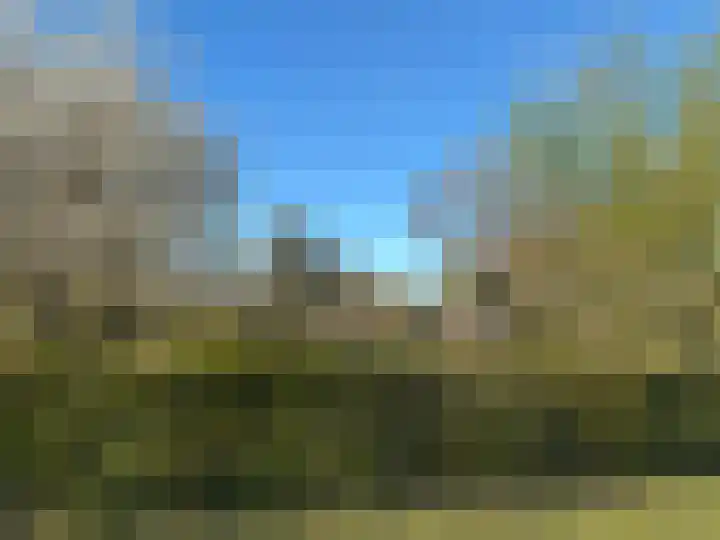 Bruisterbosch 37 Sint Geertruid thumbnail 49