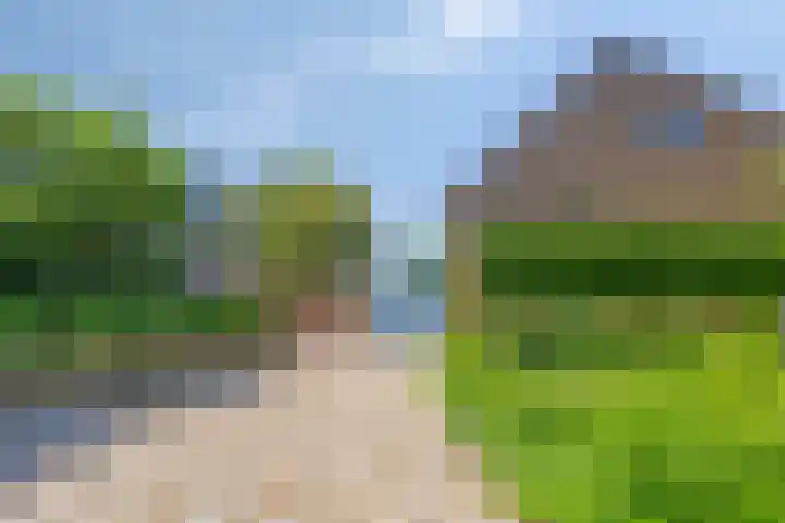 Bruisterbosch 37 Sint Geertruid thumbnail 5