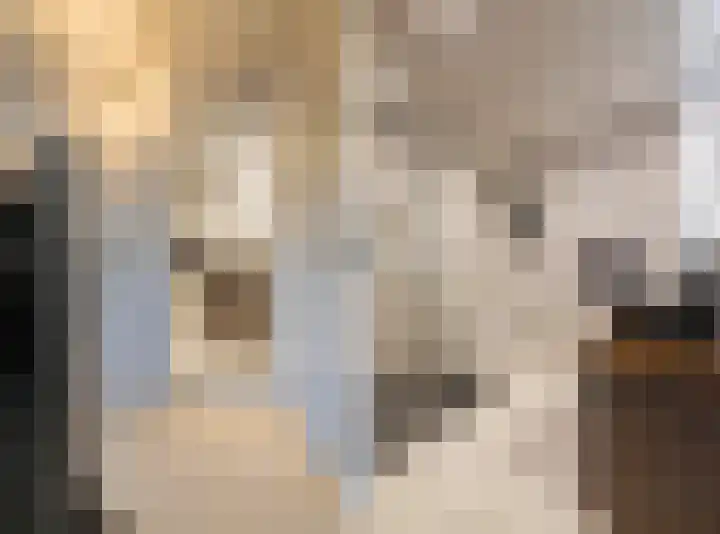 Brullenweide 46 Westervoort thumbnail 28