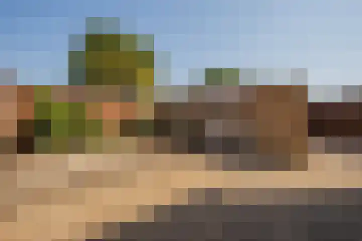 Brummeberg 32 Montfort thumbnail 6