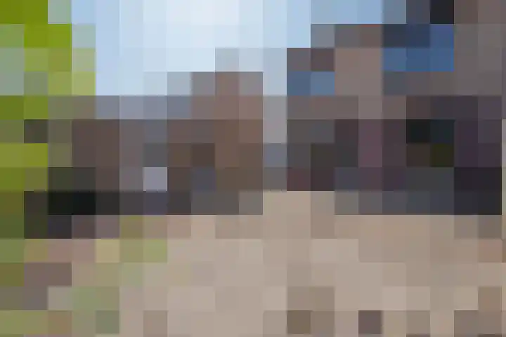 Brummeberg 32 Montfort thumbnail 7