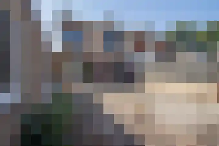 Brummeberg 32 Montfort thumbnail 8