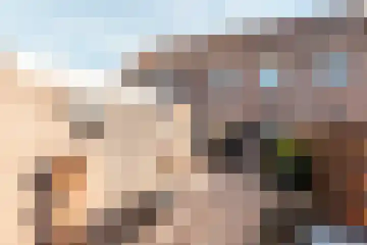 Brummelkamp 19 Harderwijk thumbnail 24
