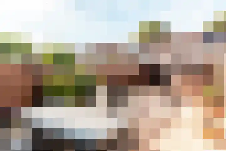 Brummelkamp 19 Harderwijk thumbnail 26