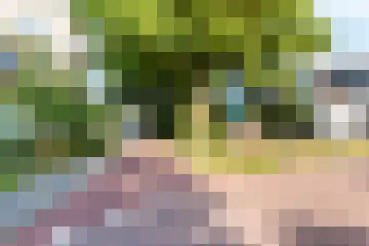 Brummelkamp 19 Harderwijk thumbnail 32