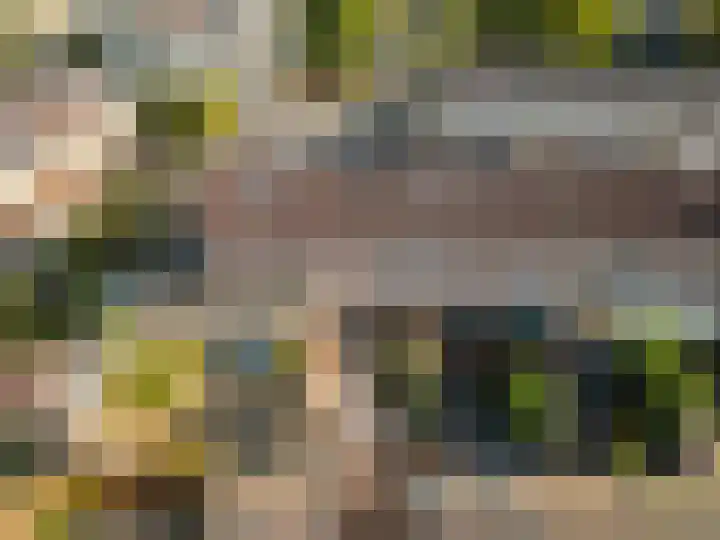 Brummelkamp 19 Harderwijk thumbnail 37