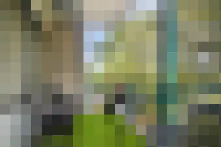 Brummelkamp 42 Harderwijk thumbnail 33