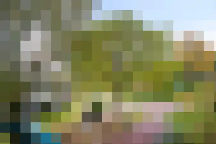 Brummelkamp 42 Harderwijk thumbnail 34