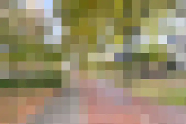 Brummelkamp 42 Harderwijk thumbnail 35