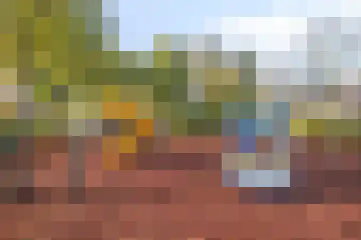 Brummelkamp 42 Harderwijk thumbnail 36
