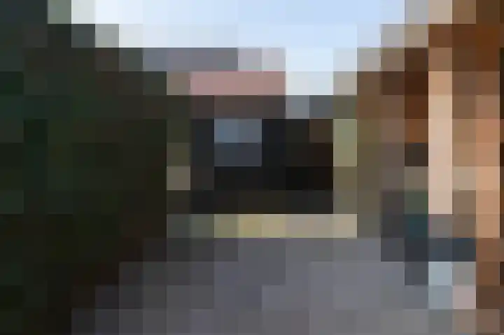 Brummelkamperweg 22 Barneveld thumbnail 50