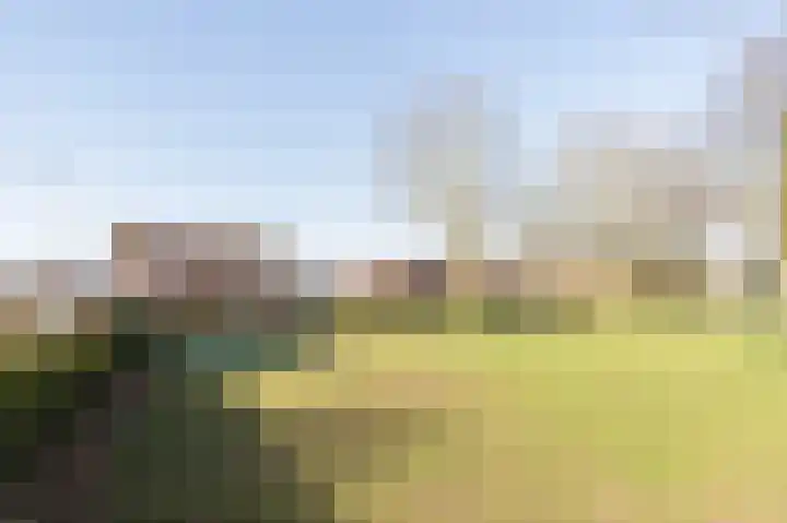 Brummelkamperweg 22 Barneveld thumbnail 57
