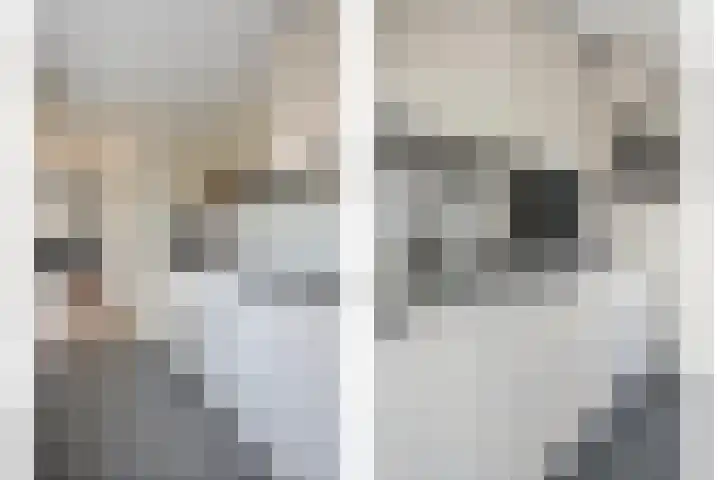 Brummelkampstraat 15 Kampen thumbnail 13