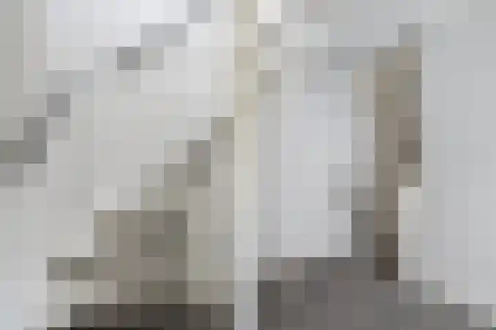 Brummelkampstraat 15 Kampen thumbnail 16