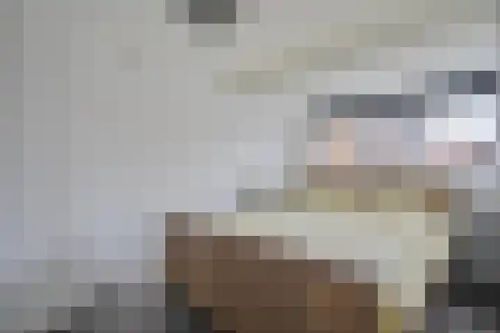 Brummelkampstraat 15 Kampen thumbnail 20