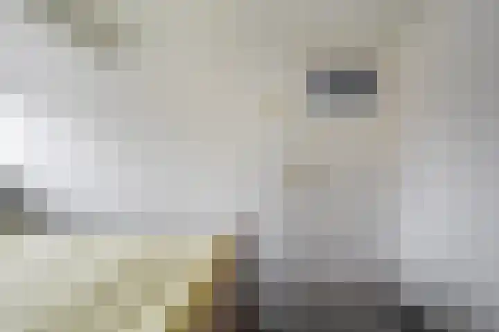Brummelkampstraat 15 Kampen thumbnail 21