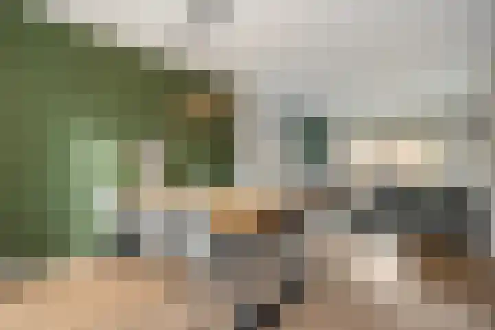 Brummelkampstraat 15 Kampen thumbnail 9