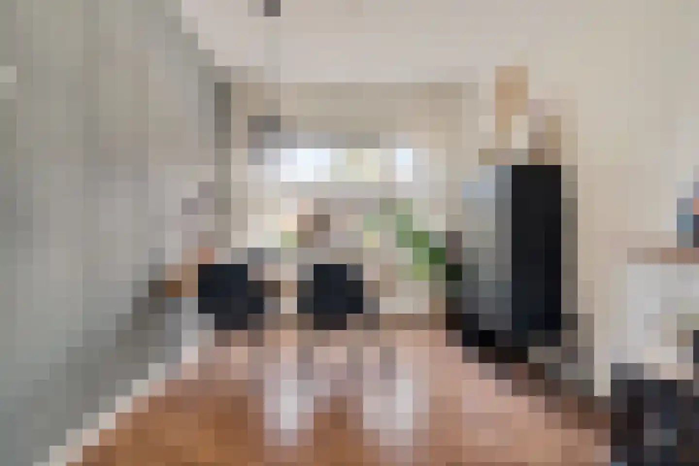 Brummelkampstraat 7 Kampen thumbnail 11