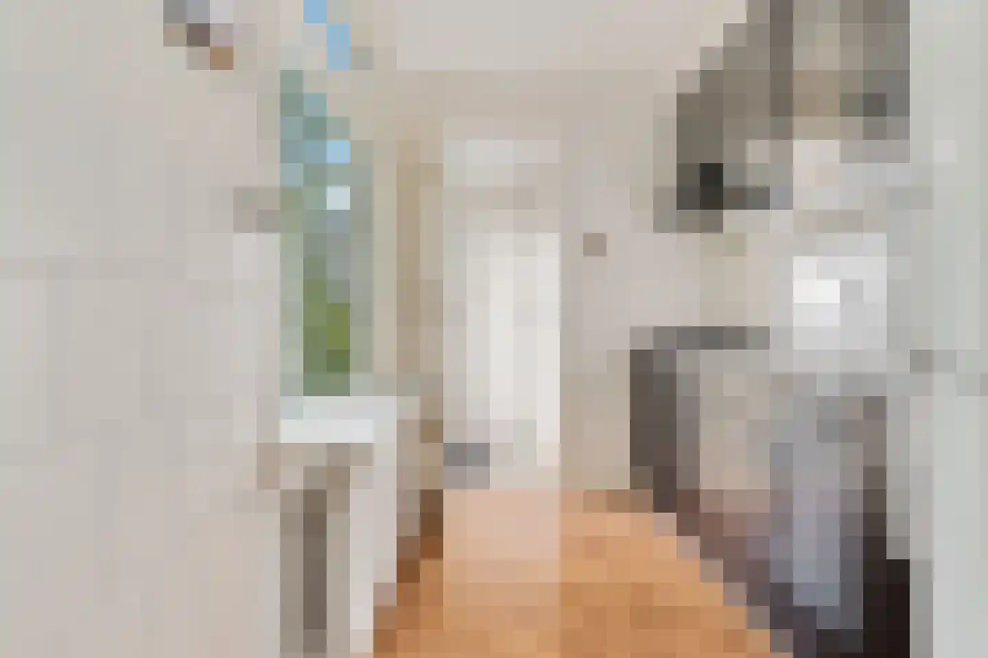 Brummelkampstraat 7 Kampen thumbnail 15