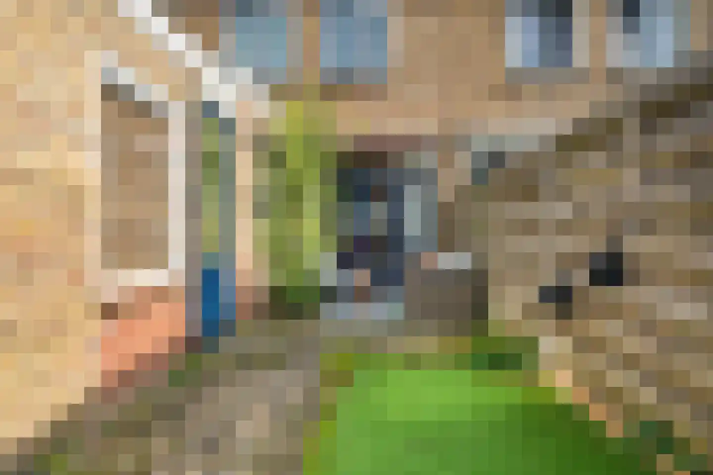 Brummelkampstraat 7 Kampen thumbnail 33