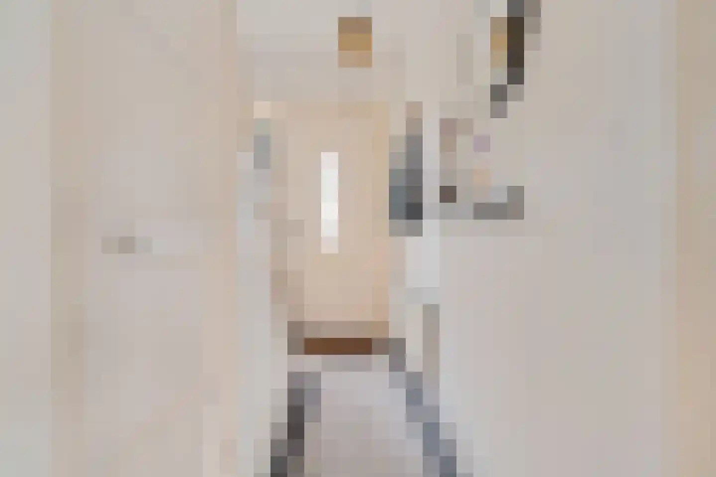 Brummelkampstraat 7 Kampen thumbnail 7