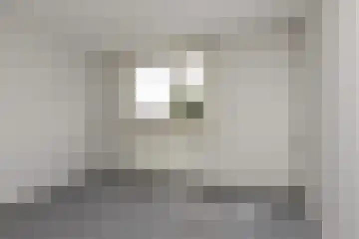 Brummelstraat 14 Hollandscheveld thumbnail 11