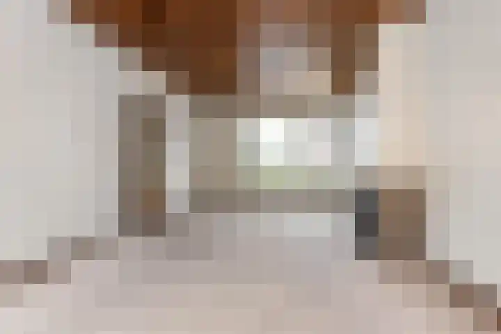 Brummelstraat 14 Hollandscheveld thumbnail 8