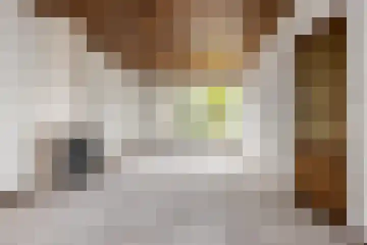 Brummelstraat 14 Hollandscheveld thumbnail 9