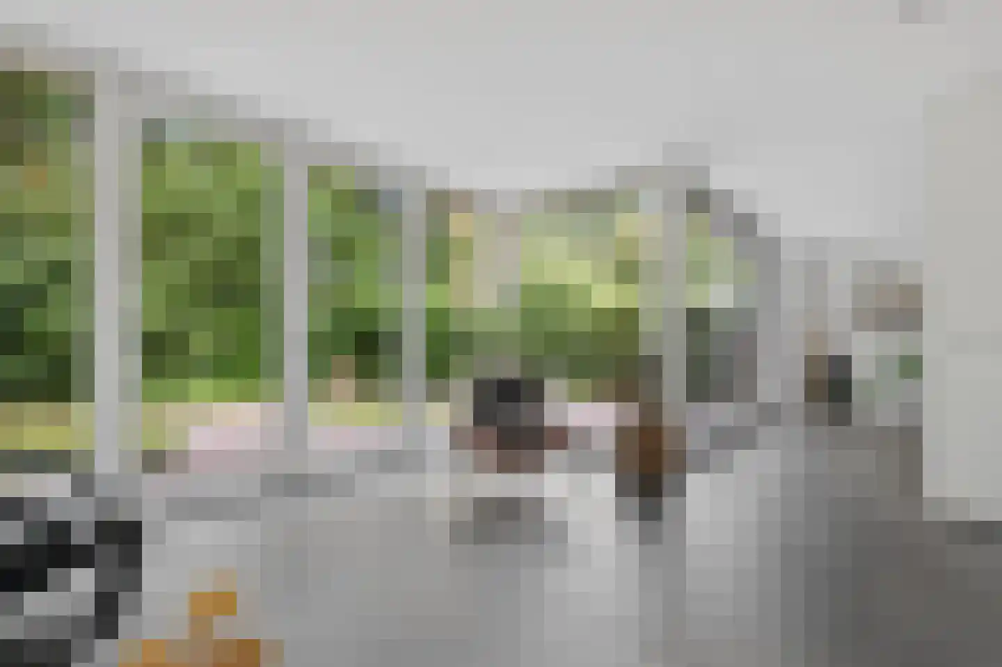 Brummelweg 3 Otterlo thumbnail 11