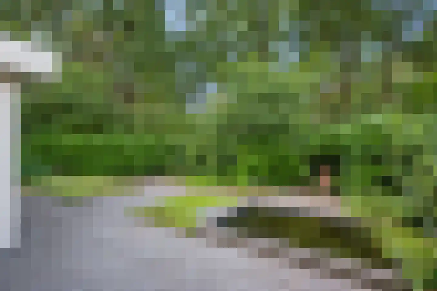 Brummelweg 3 Otterlo thumbnail 44
