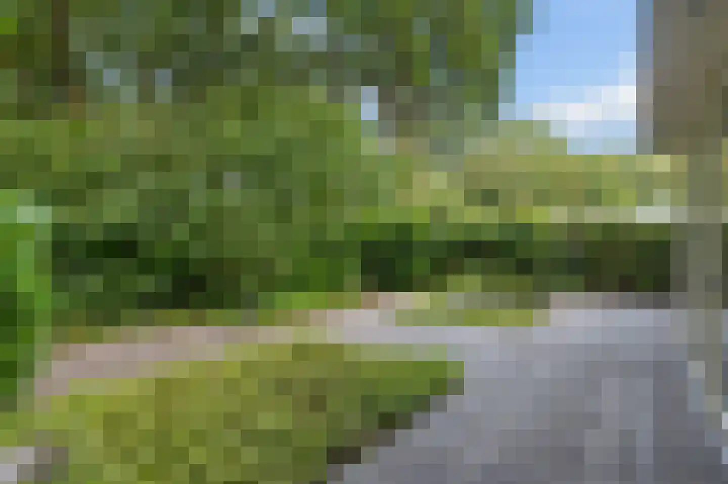 Brummelweg 3 Otterlo thumbnail 45