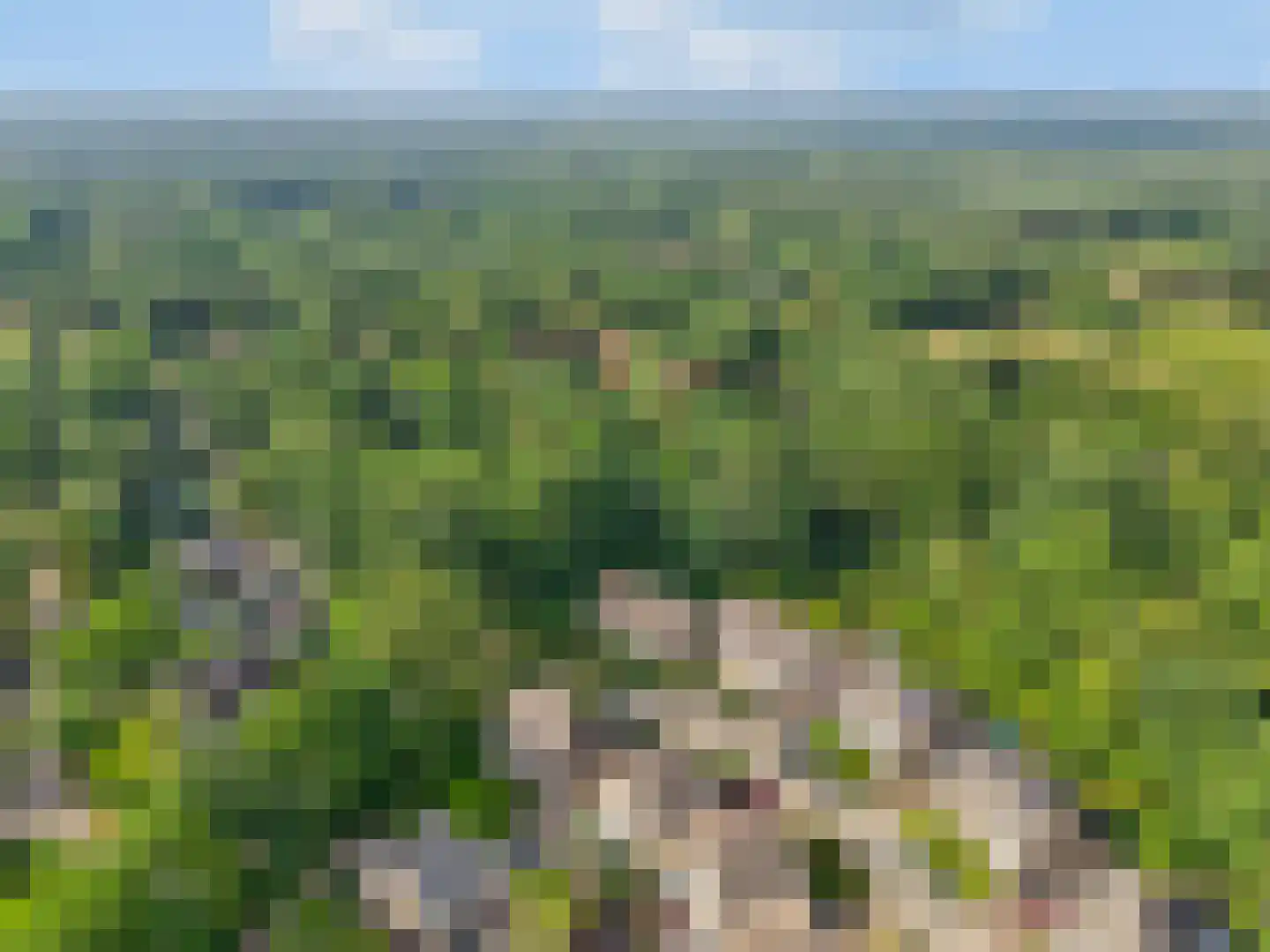 Brummelweg 3 Otterlo thumbnail 50