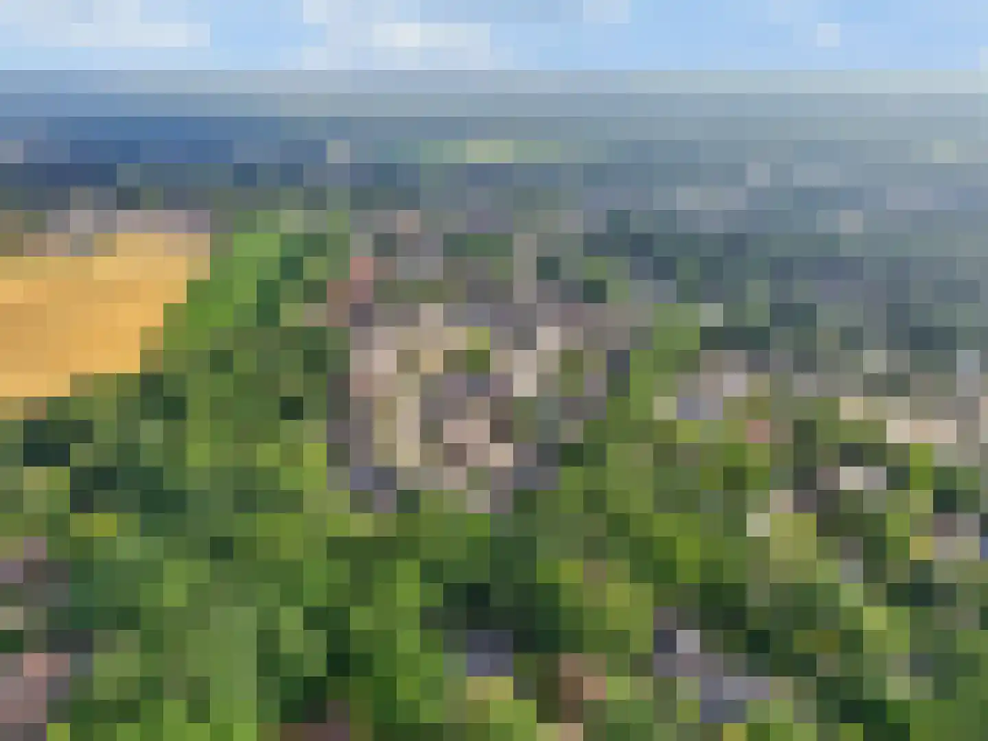 Brummelweg 3 Otterlo thumbnail 51