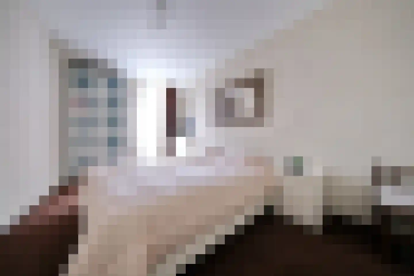Brummelweg 6 Otterlo thumbnail 13