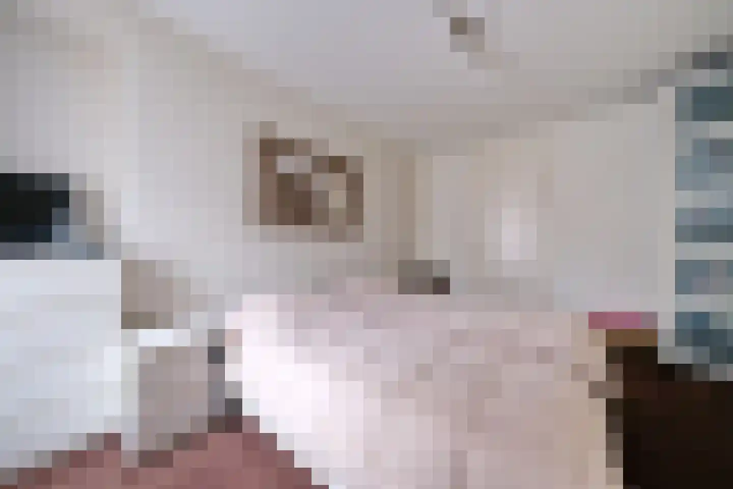 Brummelweg 6 Otterlo thumbnail 14