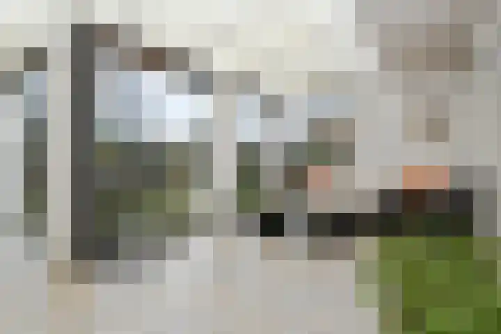 Brummenböske 9 Heibloem thumbnail 10