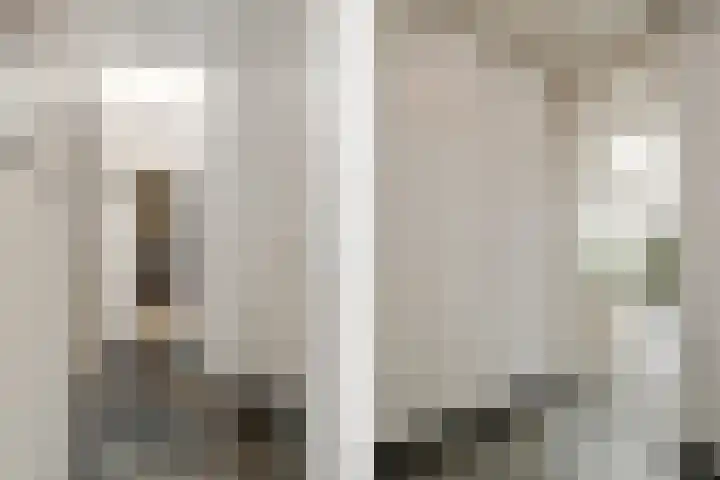 Brummenböske 9 Heibloem thumbnail 12